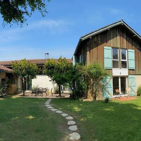 Majellon Grand Appartement Sainte-Christie-d'Armagnac Eksteriør billede