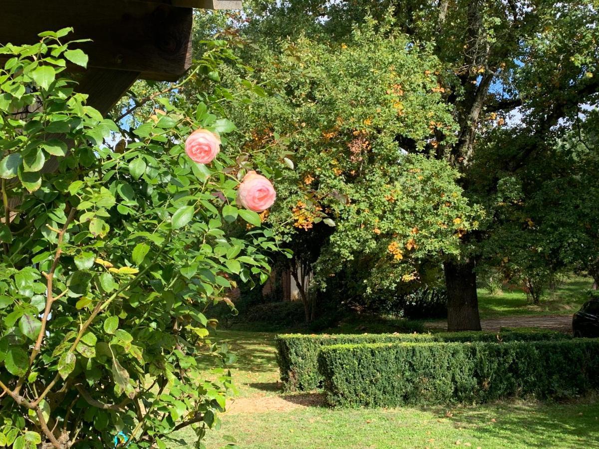 Majellon Grand Appartement Sainte-Christie-d'Armagnac Eksteriør billede